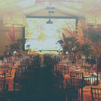 Anne's Night | Custom Event Planning